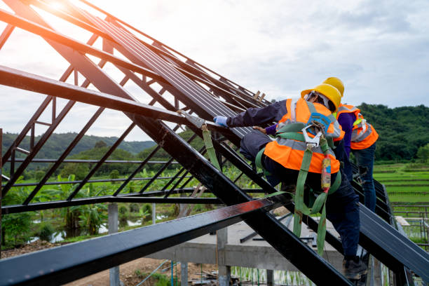 Professional Roofing Contractor in Pigeon, MI