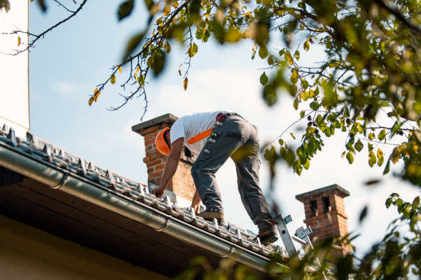 Quick and Trustworthy Emergency Roof Repair Services in Pigeon, MI