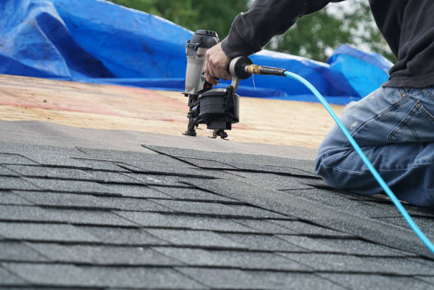 Best Roof Restoration Services  in Pigeon, MI