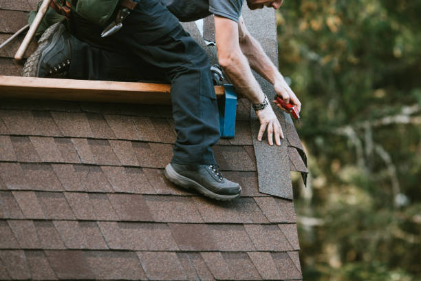 Best Roof Maintenance Services  in Pigeon, MI